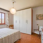 Locmansana,il Ceppo * Nocchi