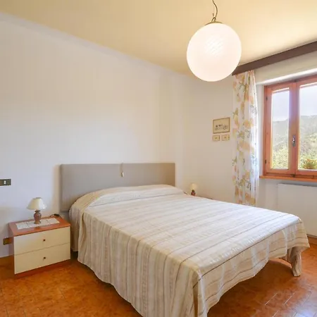 Locmansana,il Ceppo *